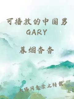 可播放的中国男GARY
